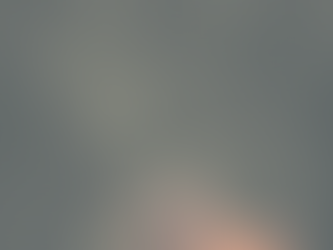 Mercredi matin, le renard du Petit Prince est venu chez moi