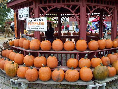 Fall Fest - Guenther Lutz.jpg