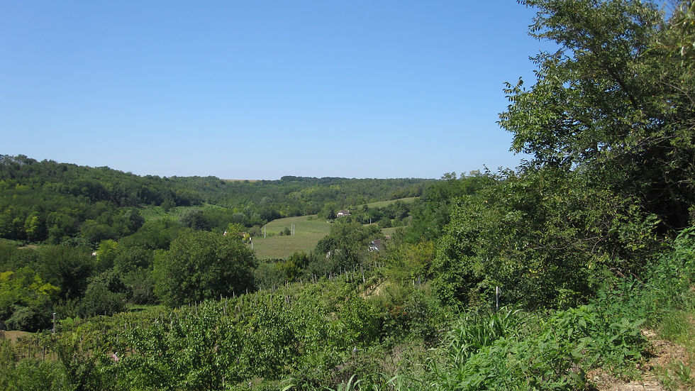 uitzicht