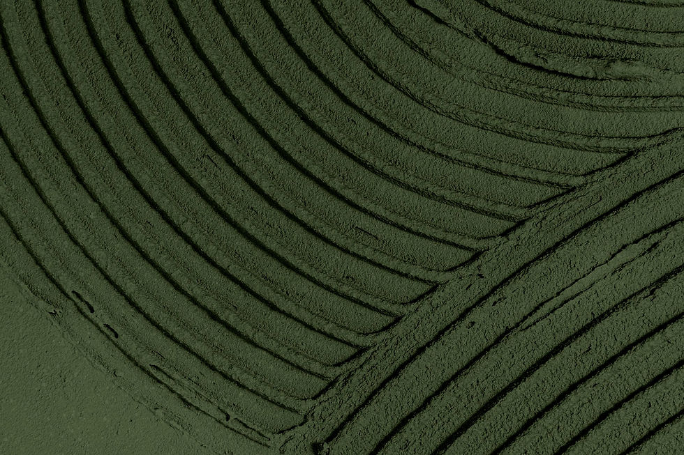 110265.jpg