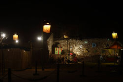 1415283_10201181308091660_8059526553537530545_o