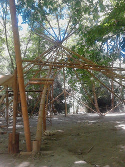 10410818_10202454997318195_1318681712359