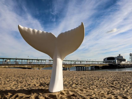 Giant Trail of Mermaid Tails Causes Splash