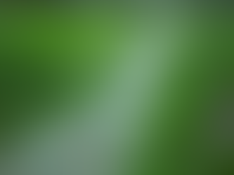 Drainage and Soakaway Solutions Blandford Forum: Hambledons