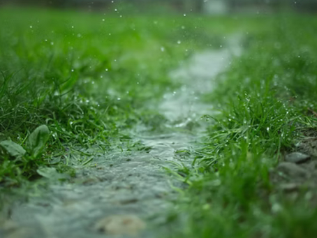 Drainage and Soakaway Solutions Blandford Forum: Hambledons