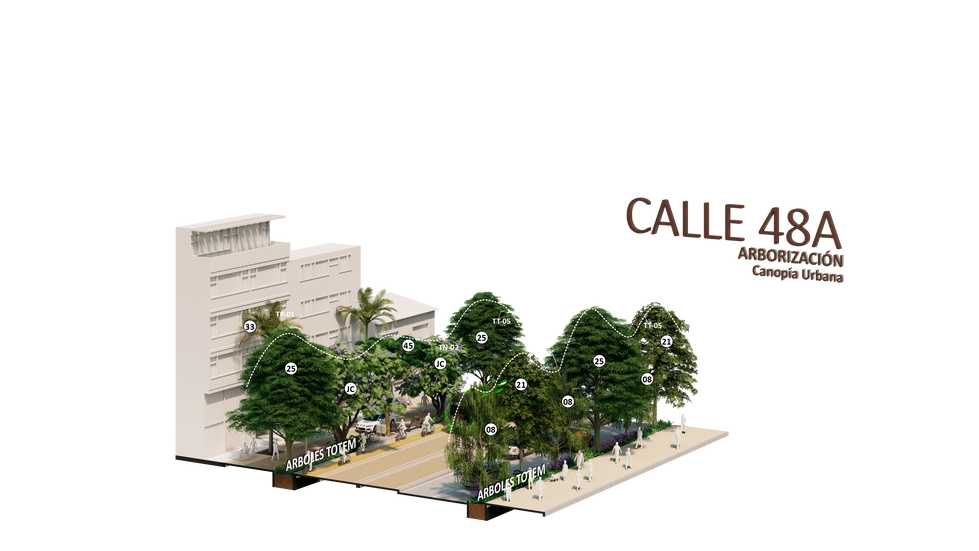 CV7_TR2_Axo_05 Calle 48A A.png