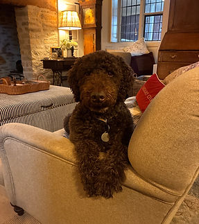 Monty