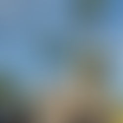 Getting Married In Lanzarote