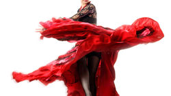 Flamenco Dinner Show