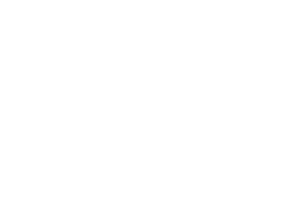 giphy_s.gif