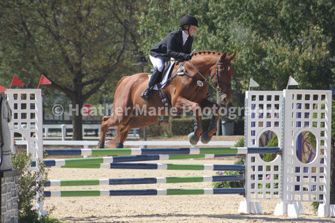Show Jumping