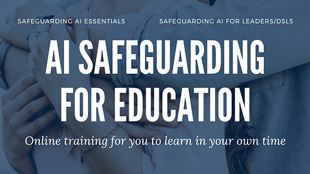 AI Safeguarding Offer Options.png