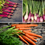 Thumbnail: Spring Onion, Beetroot and Carrot