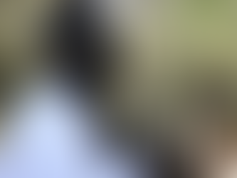 Maitre Golbert, présence, évanescence, essence (17-04-2020)