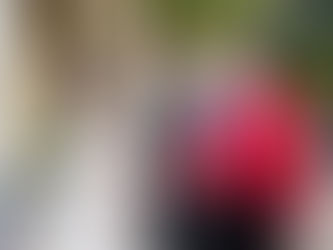 Why Weddings Need a Toastmaster: The Unsung Hero of Seamless Celebrations