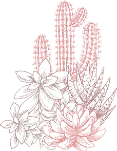 Cactuses
