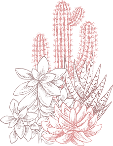 Cactuses