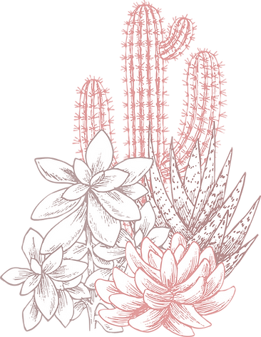 Cactuses