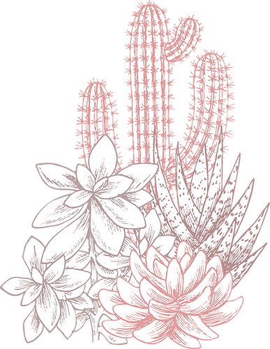 Cactuses