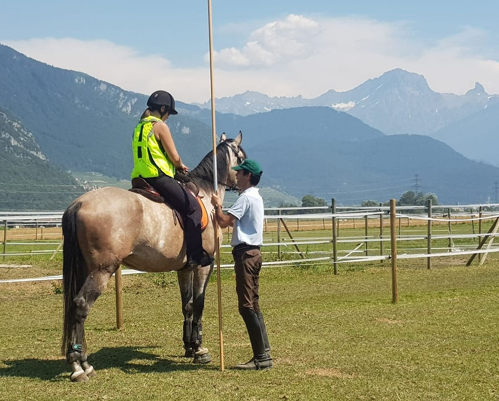Day I | Working Equitation with Greg, Peter, & Francisco