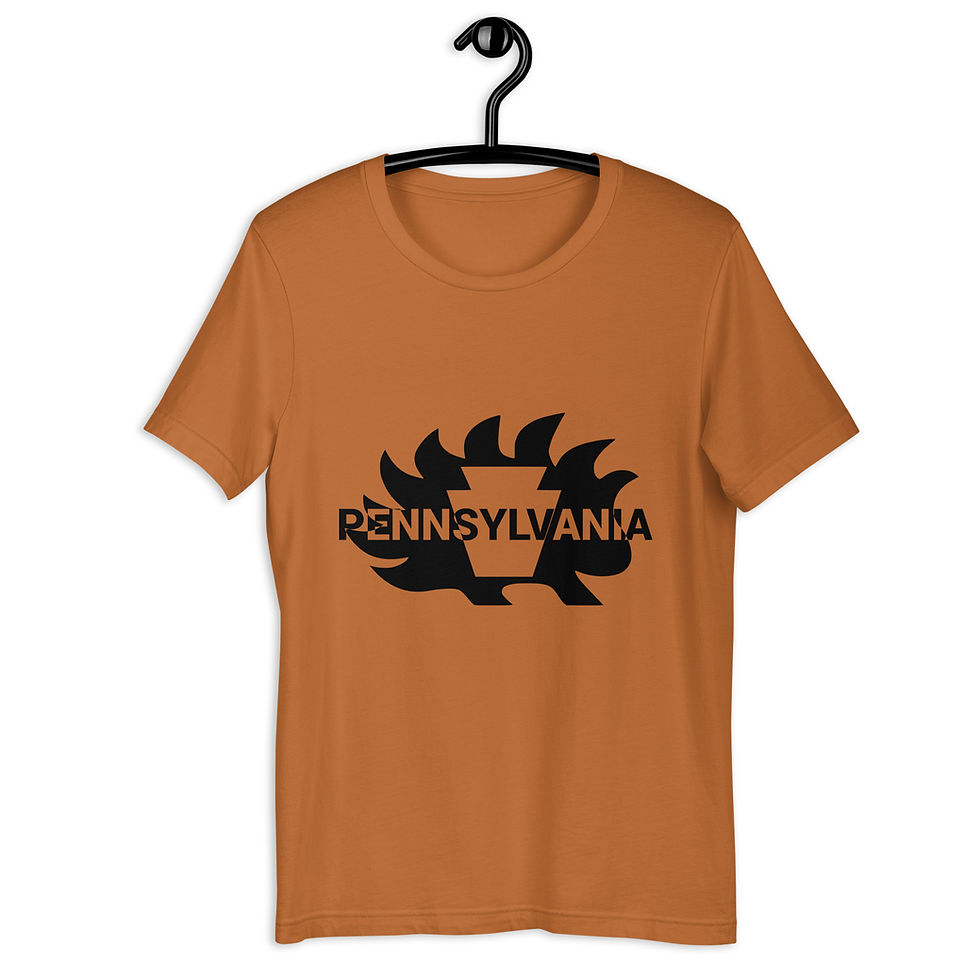Thumbnail: Keystone Porcupine Black Unisex t-shirt  Bella + Canvas 3001