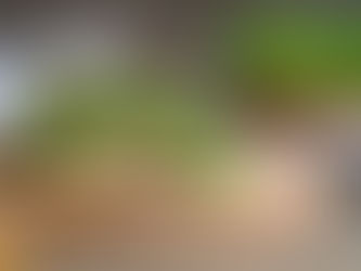 Csírák - ezért érdemes fogyasztani őket!