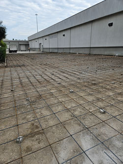 Resized_20241128_133127_1733869205693