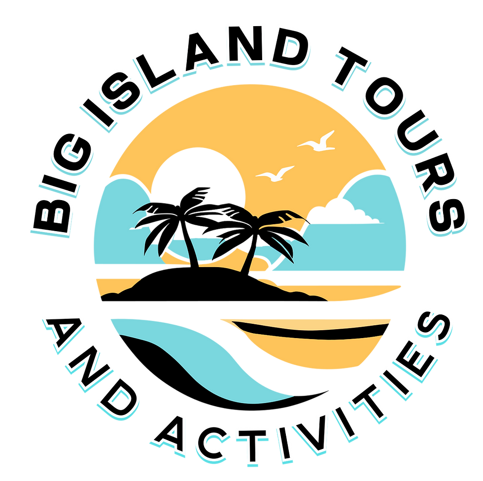 BITours&activities Logo transparent.png