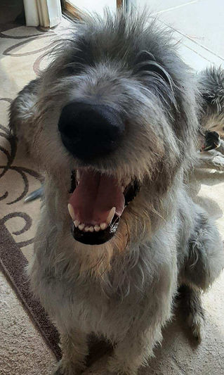 image000000(4) (1)_edited.jpg