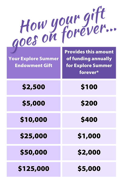 Endowment Table Print.png