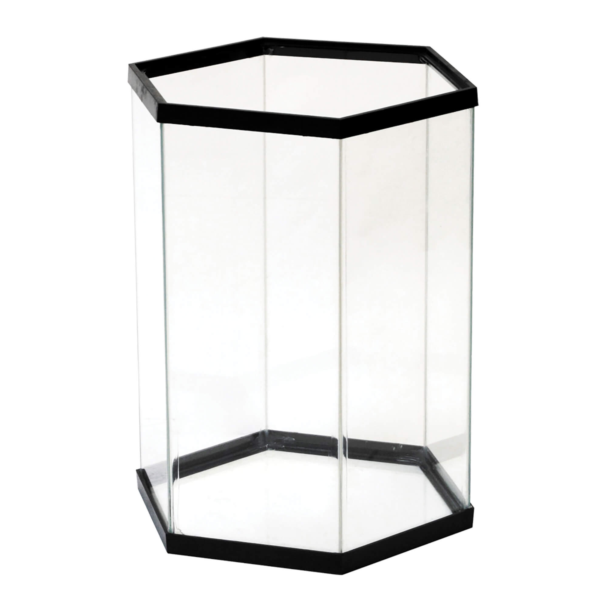 10 Gallon Hexagonal Aquarium