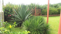 74680760_412496259683917_260365568503604