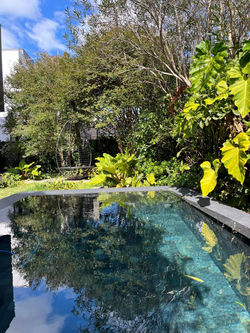 8206adb8-0006-4faf-983e-f2ef2e909596