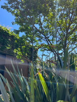 6bc49d02-c13a-41c2-9e4b-d4d41e6bed17