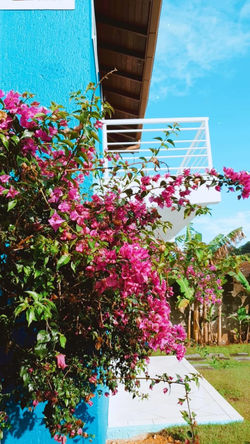 6fa0894f-ff9b-483a-b329-324966b10890