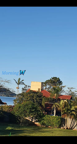 4d869d90-aeba-4156-9e21-927022b3f296