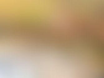 Parque aquático na Bahia? Confira 3 opções