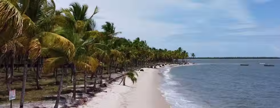 Ilha do Contrato: o segredo da Baía de Camamu