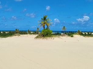 Mangue Seco: encante-se com esse local paradisíaco