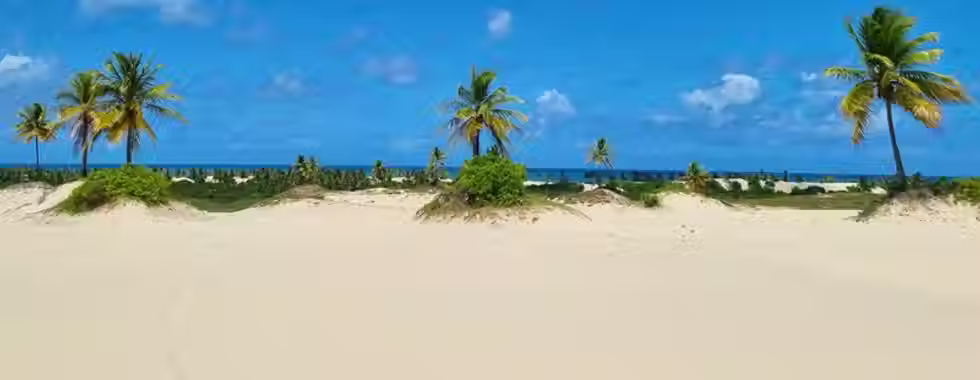 Mangue Seco: encante-se com esse local paradisíaco