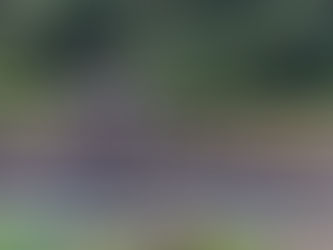 Ruínas Fábrica de Tecidos São Brás