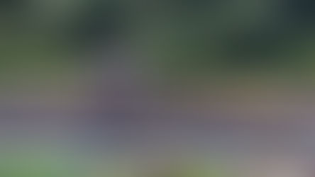 Ruínas Fábrica de Tecidos São Brás