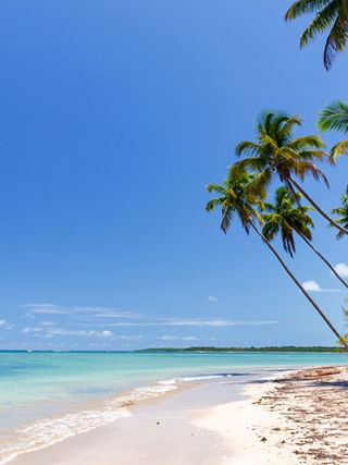 Roteiro Salvador e Boipeba: viagem de 5, 6 ou 7 dias