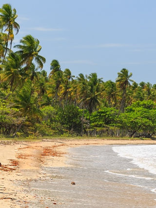 Ilha de Tinharé