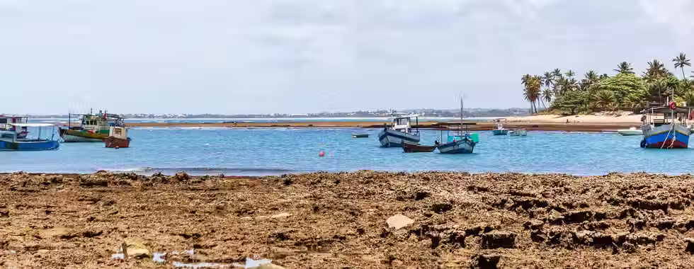 7 praias de Praia do Forte: conheça as melhores opções