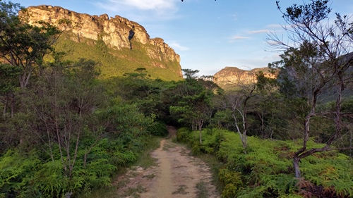 Trilha Vale do Pati Chapada Diamantina