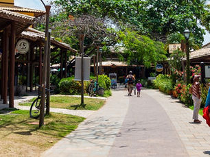 Vila da Praia do Forte: 5 lugares que não pode deixar de ir