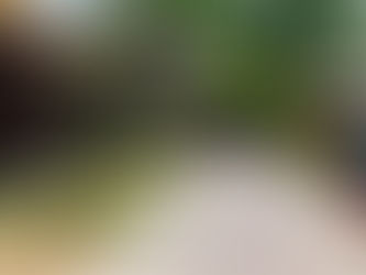 Vila da Praia do Forte: 5 lugares que não pode deixar de ir