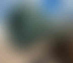 Canhão no forte em Salvador