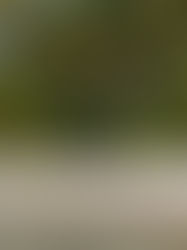 Benefícios da caminhada Ponta dos Castelhanos Boipeba